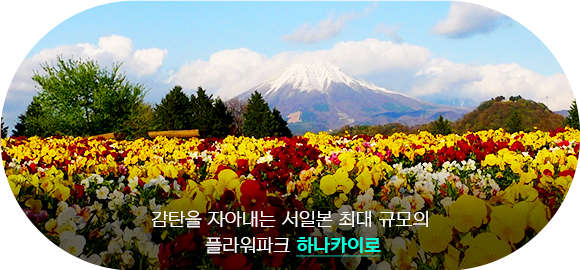 하나카이로